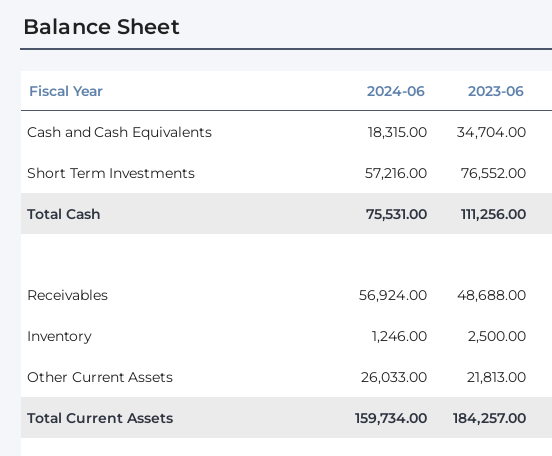 Snippet balance sheet data